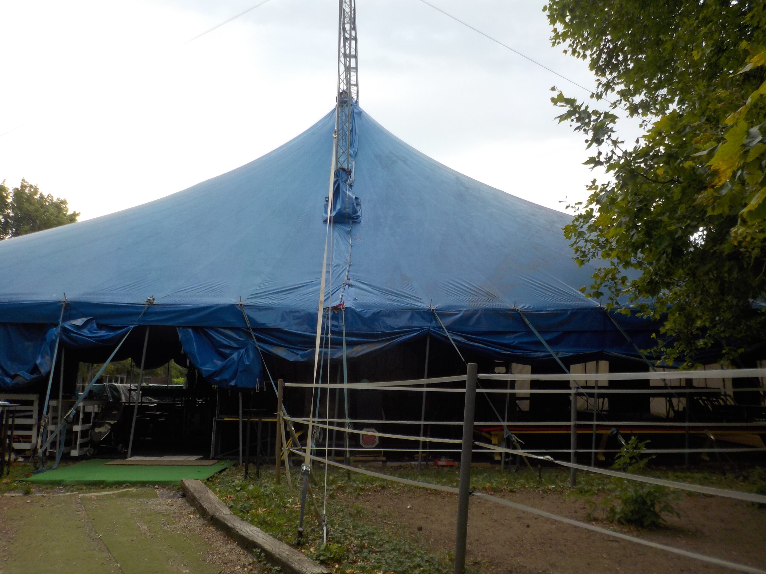 Stage de cirque
