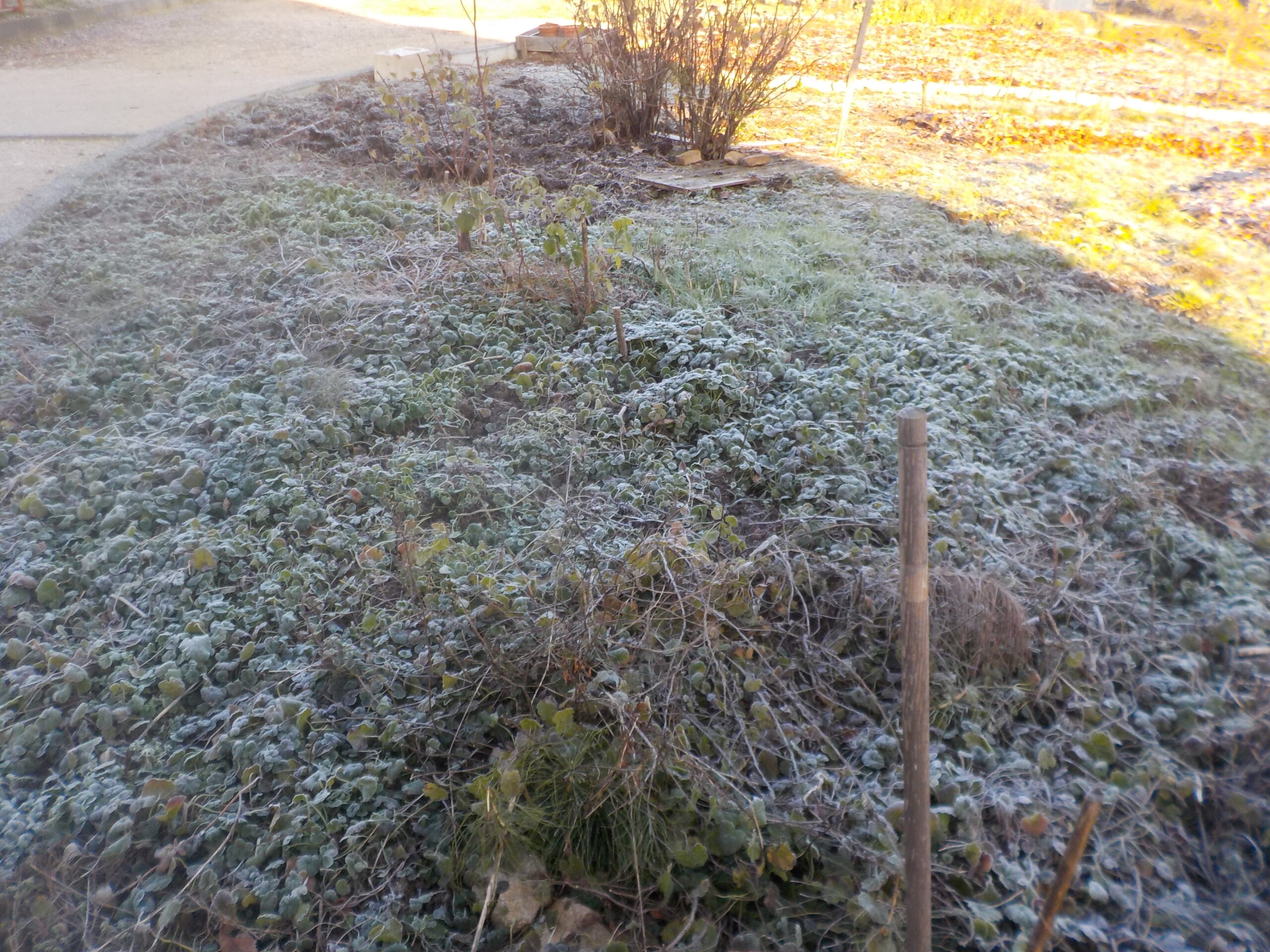 L&rsquo;hiver