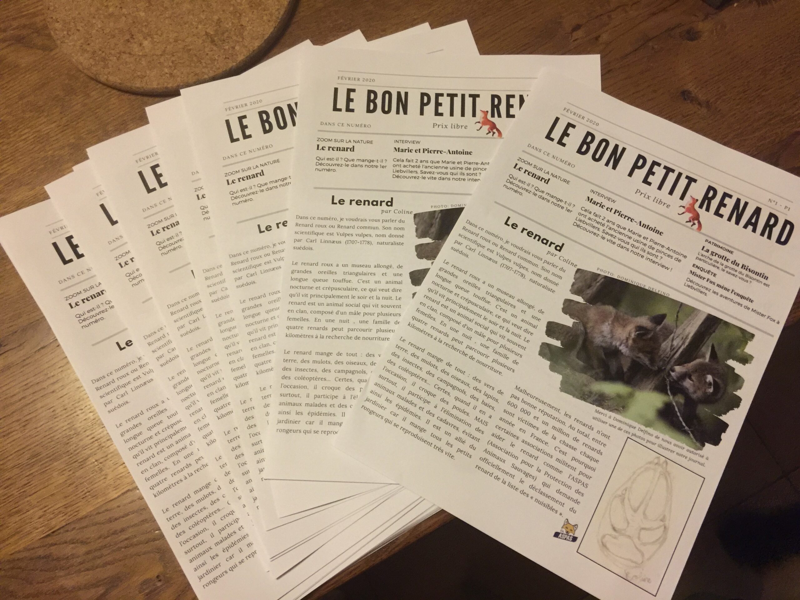 Le Bon Petit Renard 7